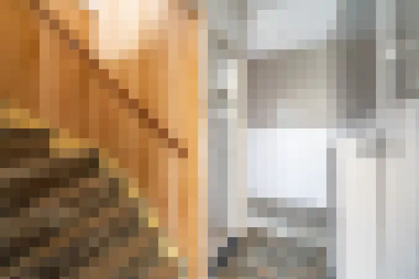 de Snoekbaars 47 Bergschenhoek thumbnail 6