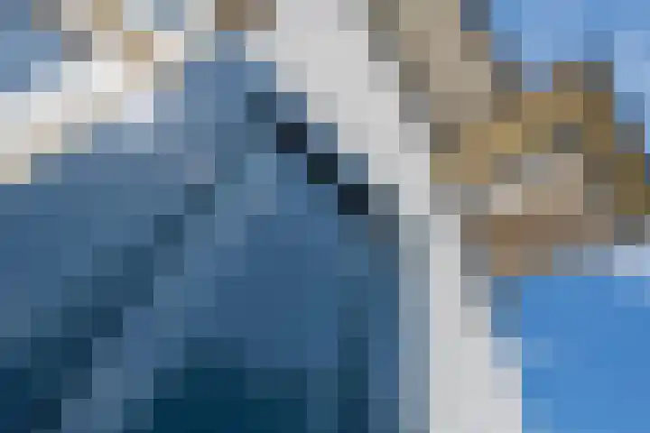 De Soel 3 Zoelen thumbnail 11