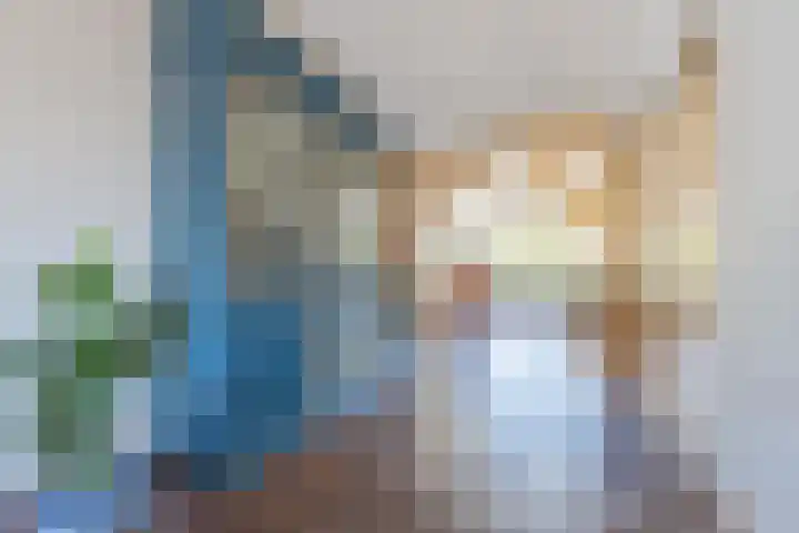 De Soel 3 Zoelen thumbnail 15