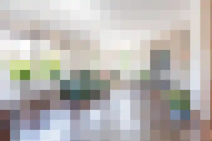 De Soel 3 Zoelen thumbnail 16