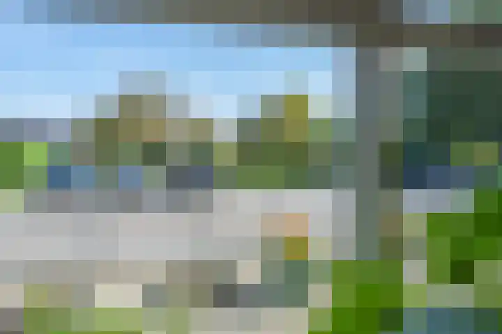 De Soel 3 Zoelen thumbnail 18