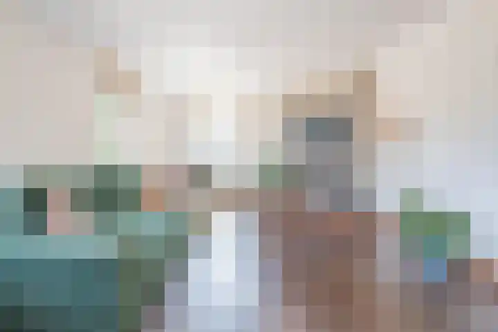 De Soel 3 Zoelen thumbnail 19