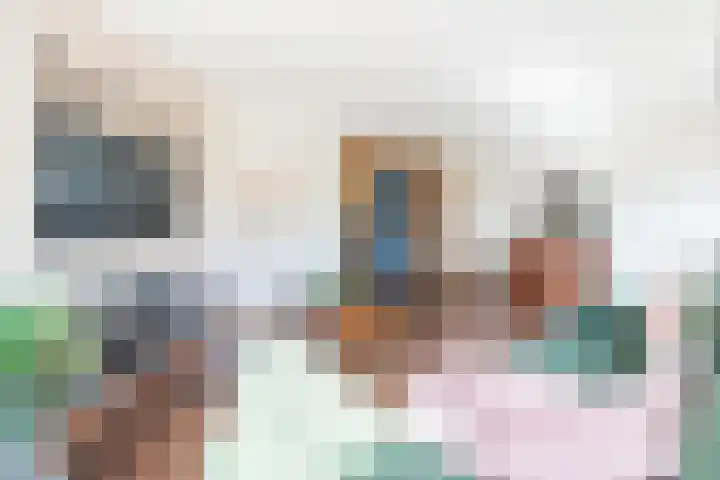 De Soel 3 Zoelen thumbnail 21
