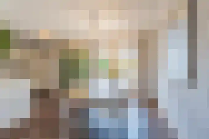 De Soel 3 Zoelen thumbnail 25