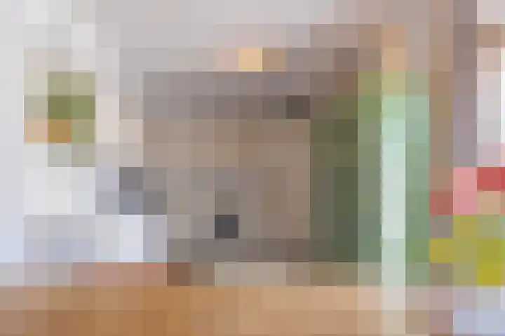 De Soel 3 Zoelen thumbnail 26