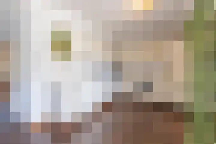 De Soel 3 Zoelen thumbnail 27