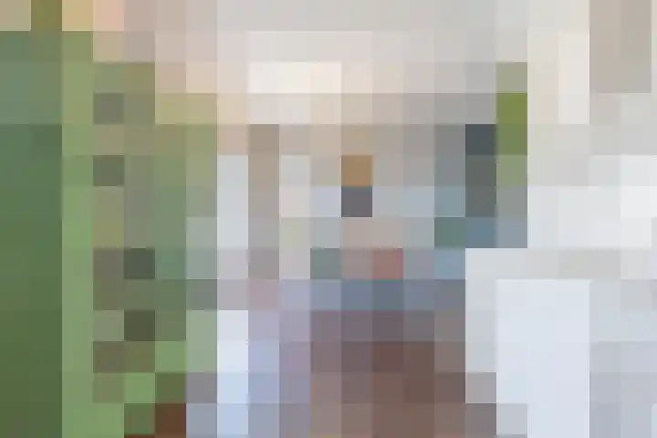 De Soel 3 Zoelen thumbnail 29
