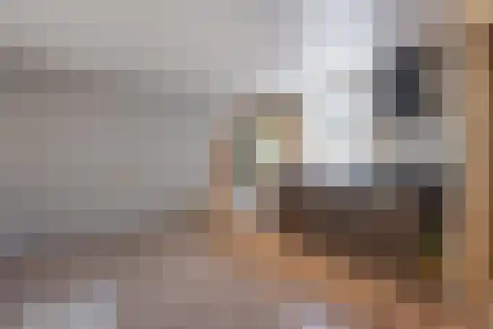 De Soel 3 Zoelen thumbnail 32