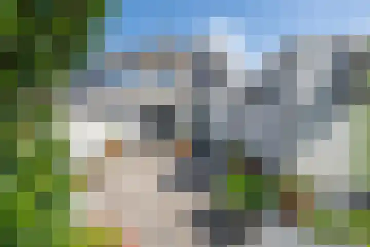 De Soel 3 Zoelen thumbnail 37