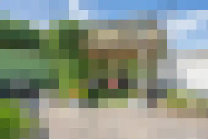 De Soel 3 Zoelen thumbnail 40