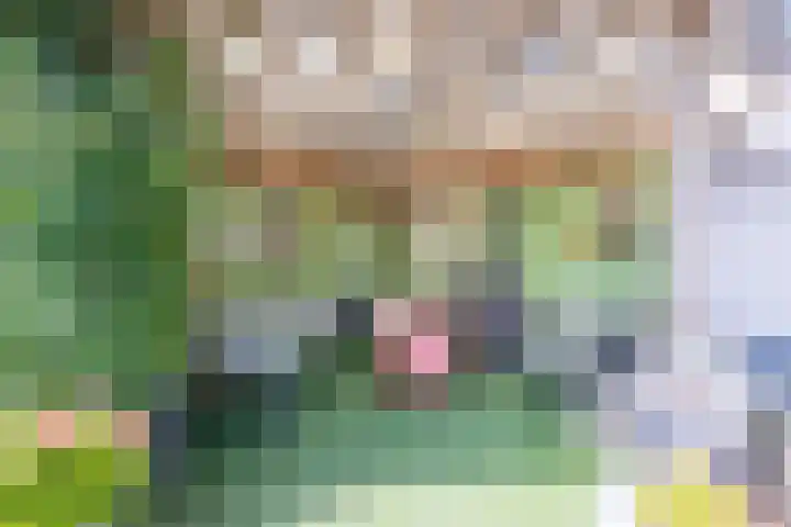 De Soel 3 Zoelen thumbnail 41