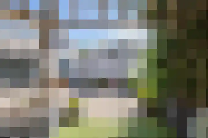 De Soel 3 Zoelen thumbnail 42