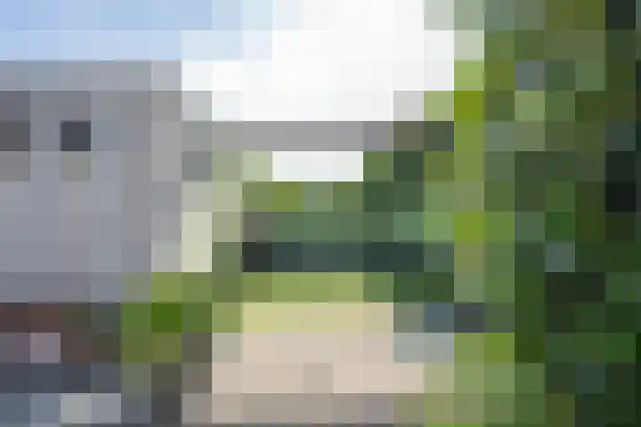 De Soel 3 Zoelen thumbnail 43