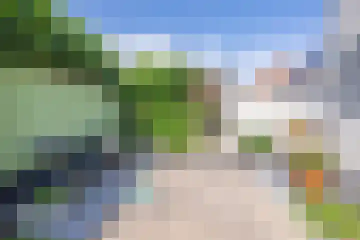 De Soel 3 Zoelen thumbnail 45