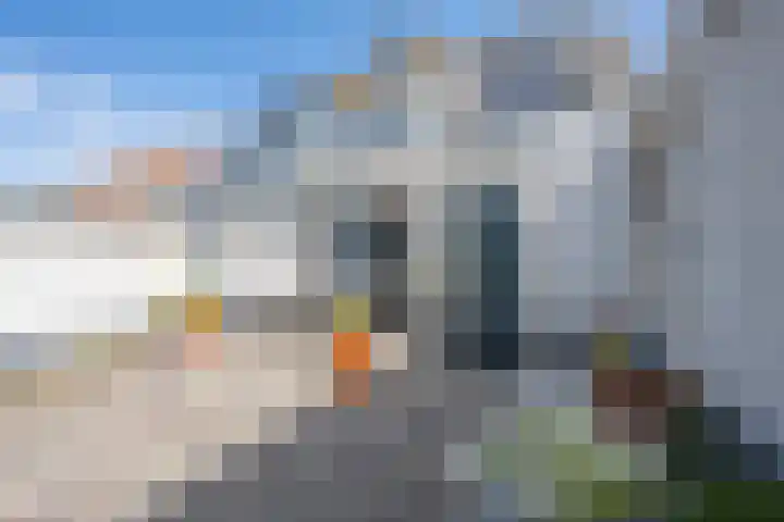 De Soel 3 Zoelen thumbnail 46