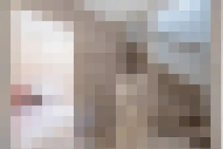 De Soel 3 Zoelen thumbnail 49