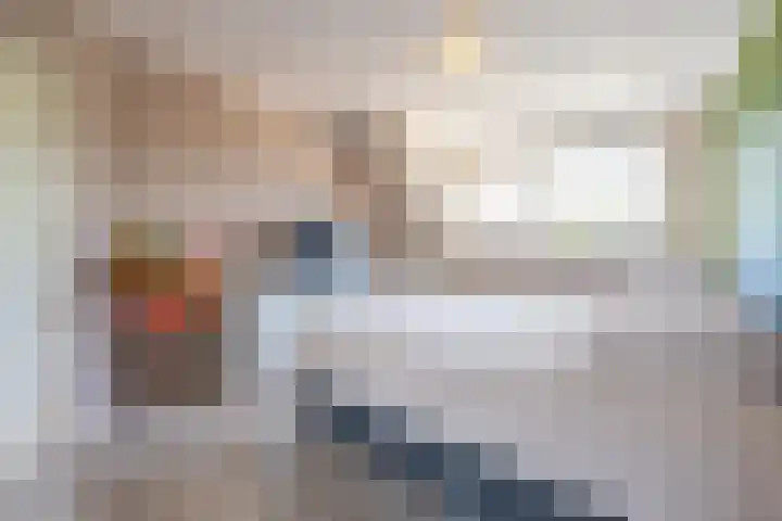 De Soel 3 Zoelen thumbnail 50