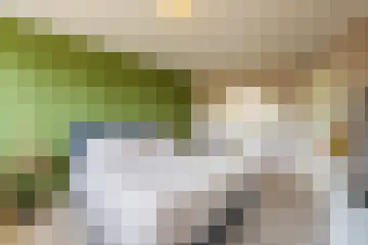 De Soel 3 Zoelen thumbnail 51