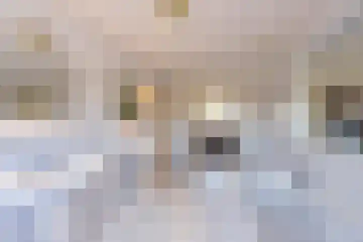 De Soel 3 Zoelen thumbnail 54