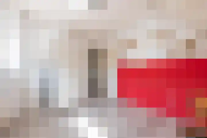 De Soel 3 Zoelen thumbnail 59