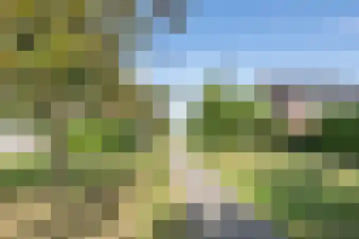 De Soel 3 Zoelen thumbnail 6