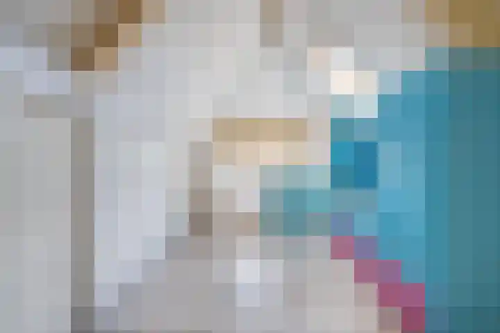 De Soel 3 Zoelen thumbnail 63