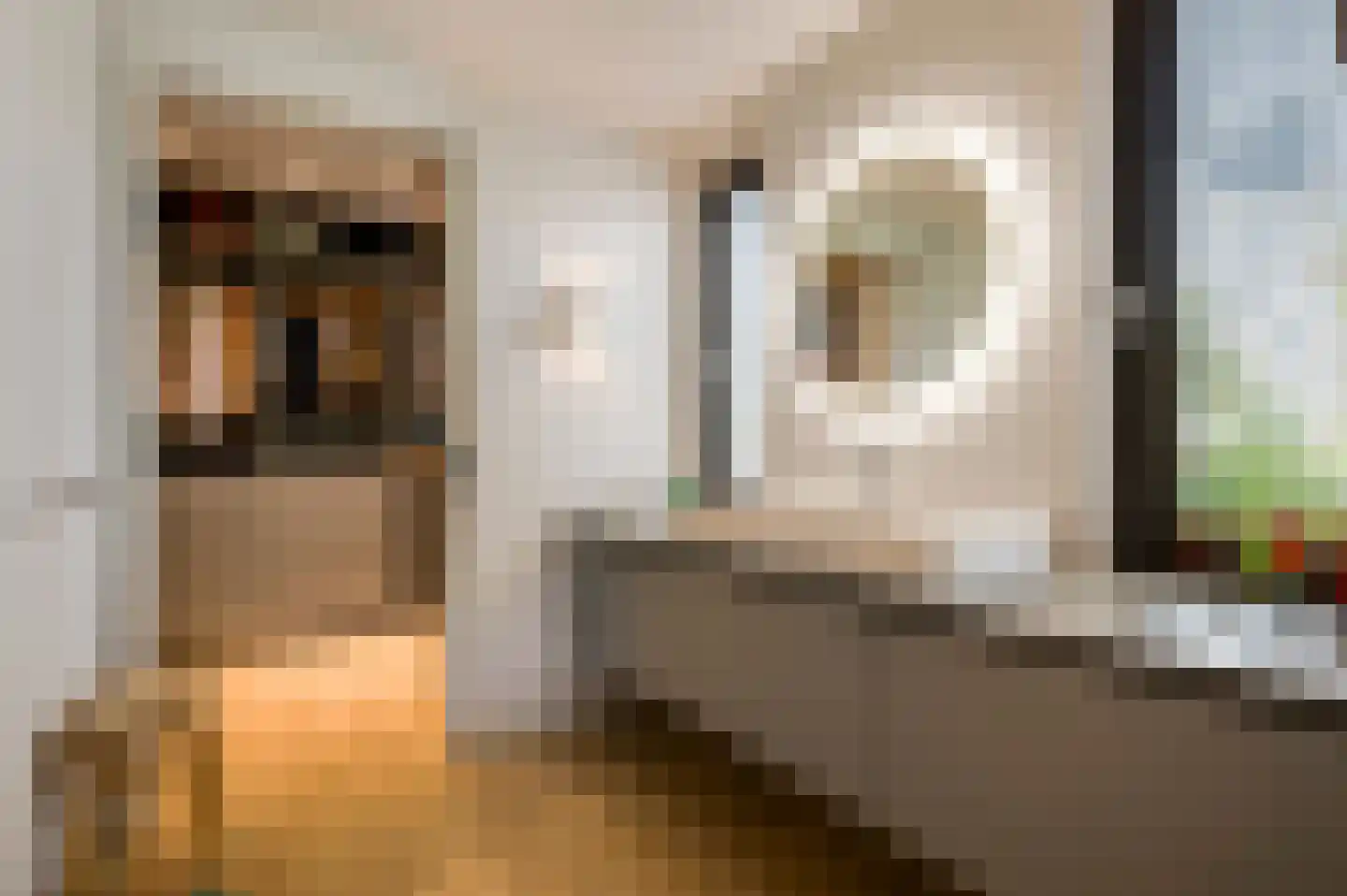 De Sondert 25 Sevenum thumbnail 38
