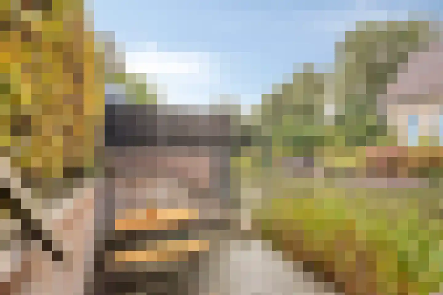 De Sonneveld 124 Heiloo thumbnail 31