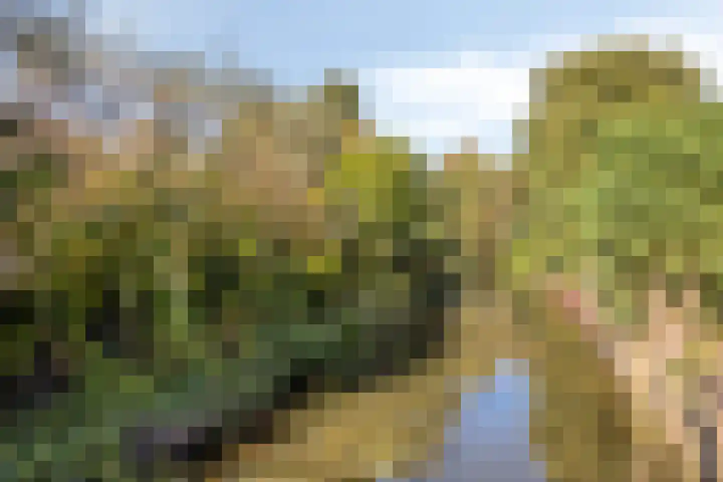 De Sonneveld 124 Heiloo thumbnail 36