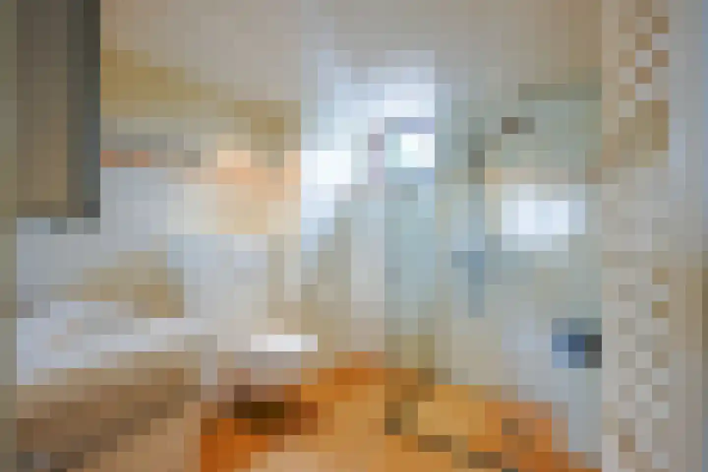 De Sonneveld 15 Heiloo thumbnail 21