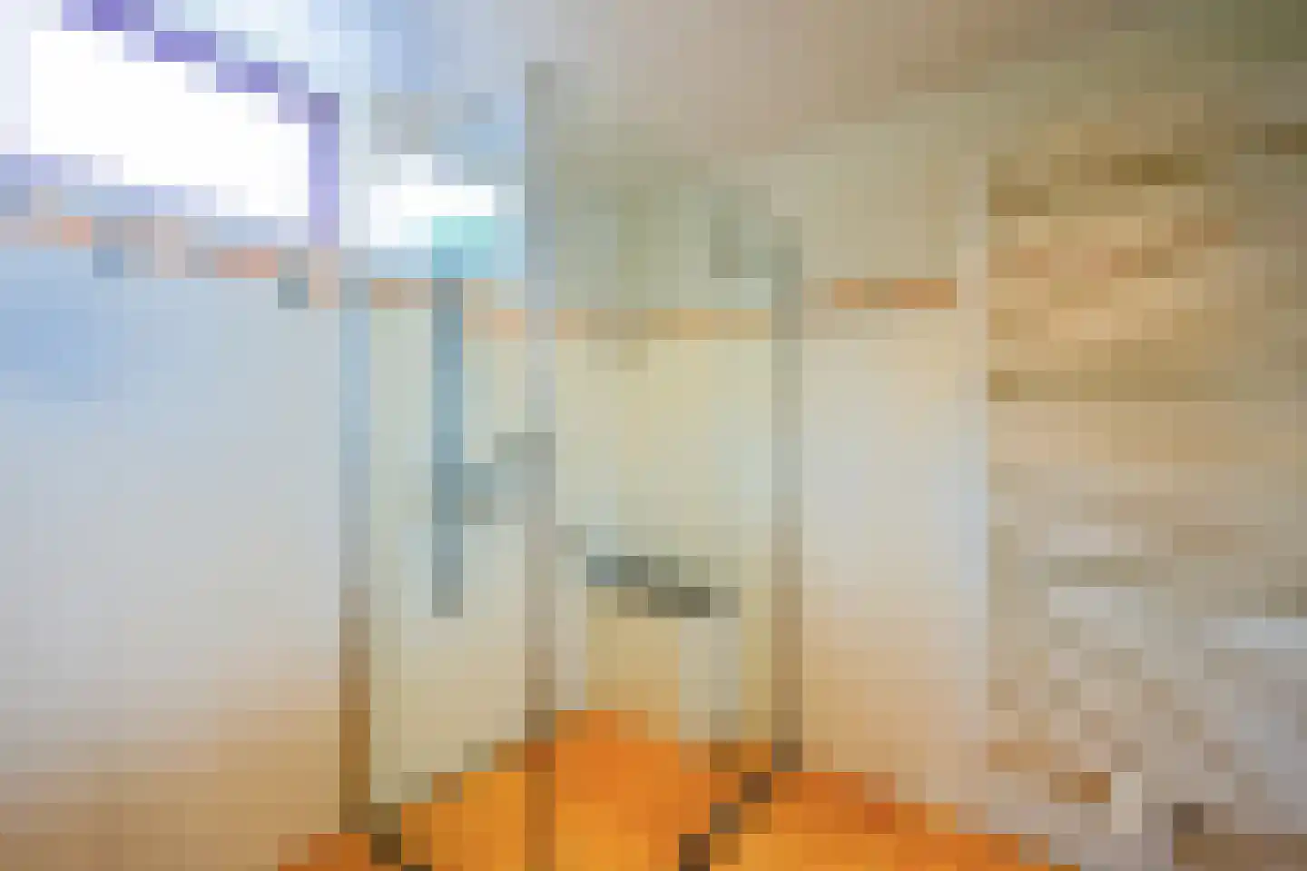 De Sonneveld 15 Heiloo thumbnail 22