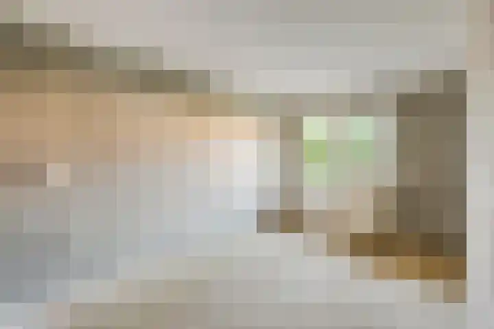 De Sonneveld 2 Heiloo thumbnail 16