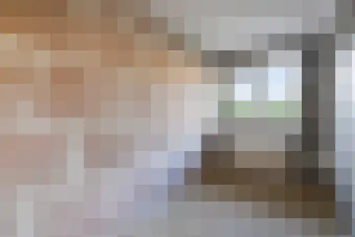 De Sonneveld 2 Heiloo thumbnail 19