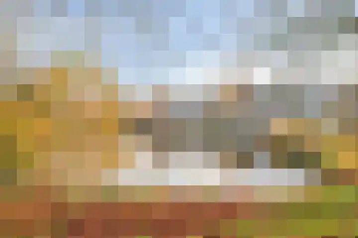 De Sonneveld 2 Heiloo thumbnail 28