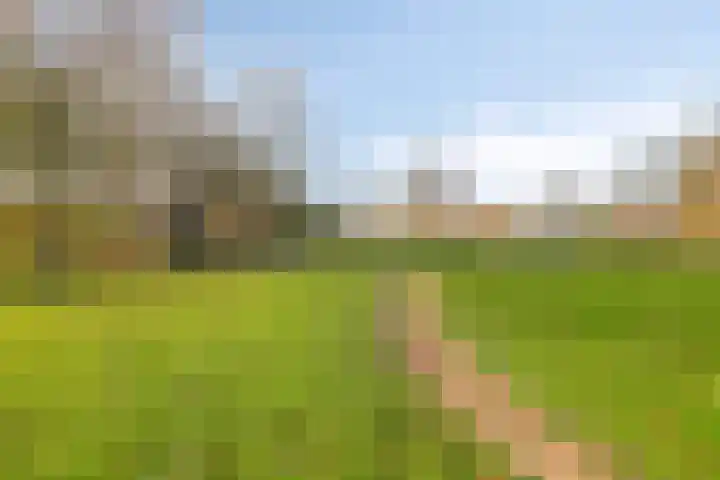 De Sonneveld 2 Heiloo thumbnail 29