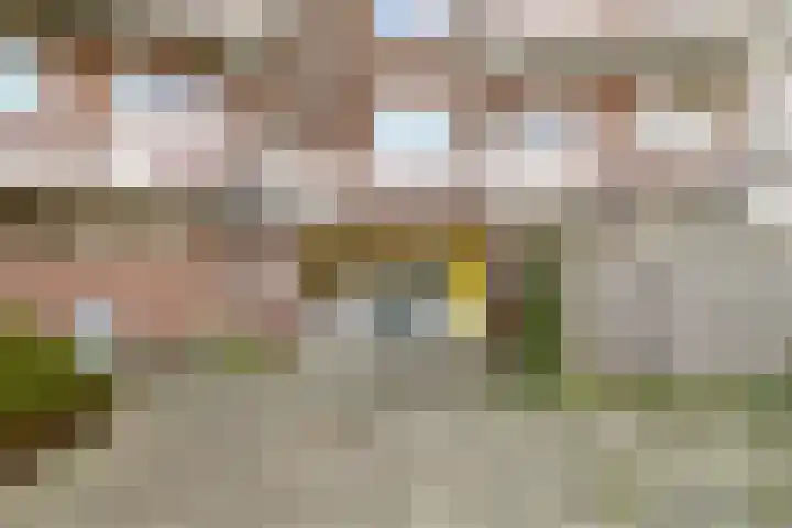 De Sonneveld 2 Heiloo thumbnail 4