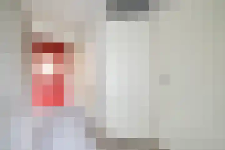 De Sonneveld 2 Heiloo thumbnail 8