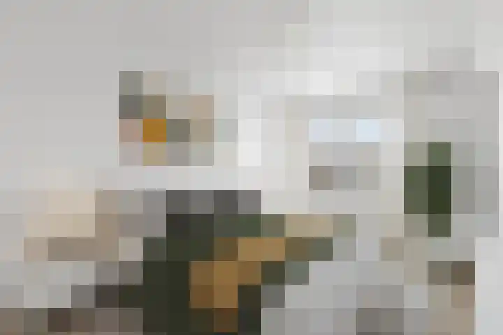 De Sonneveld 24 Heiloo thumbnail 14