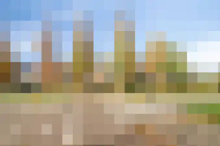 De Sonneveld 24 Heiloo thumbnail 26
