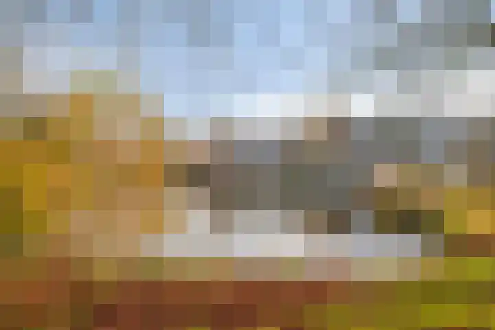 De Sonneveld 24 Heiloo thumbnail 27