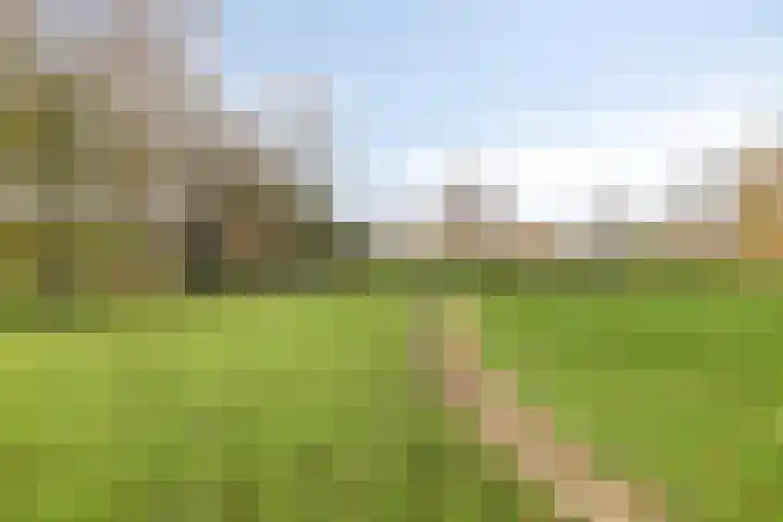 De Sonneveld 24 Heiloo thumbnail 28