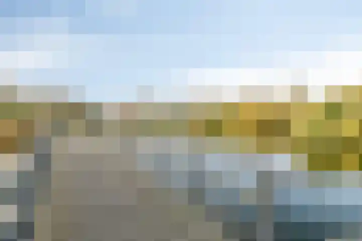 De Sonneveld 24 Heiloo thumbnail 29