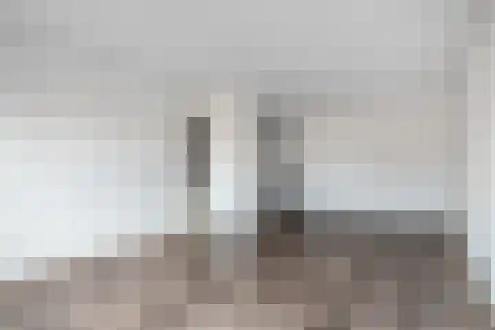 De Sonneveld 48 Heiloo thumbnail 12