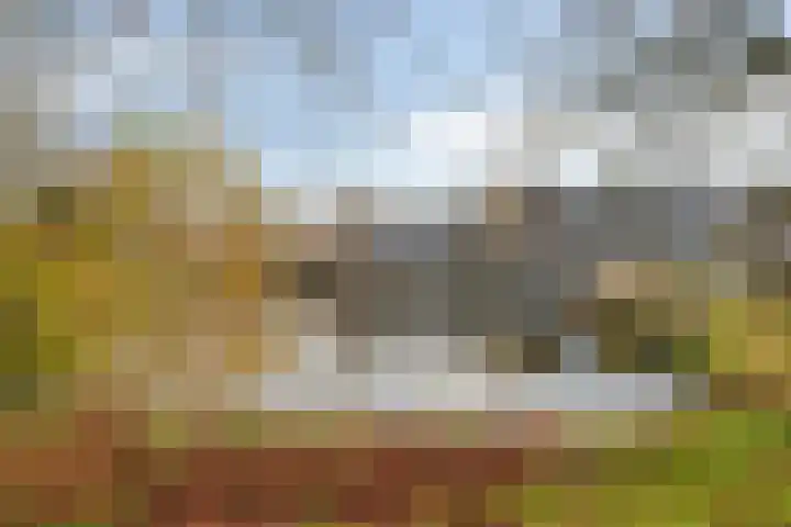 De Sonneveld 48 Heiloo thumbnail 29
