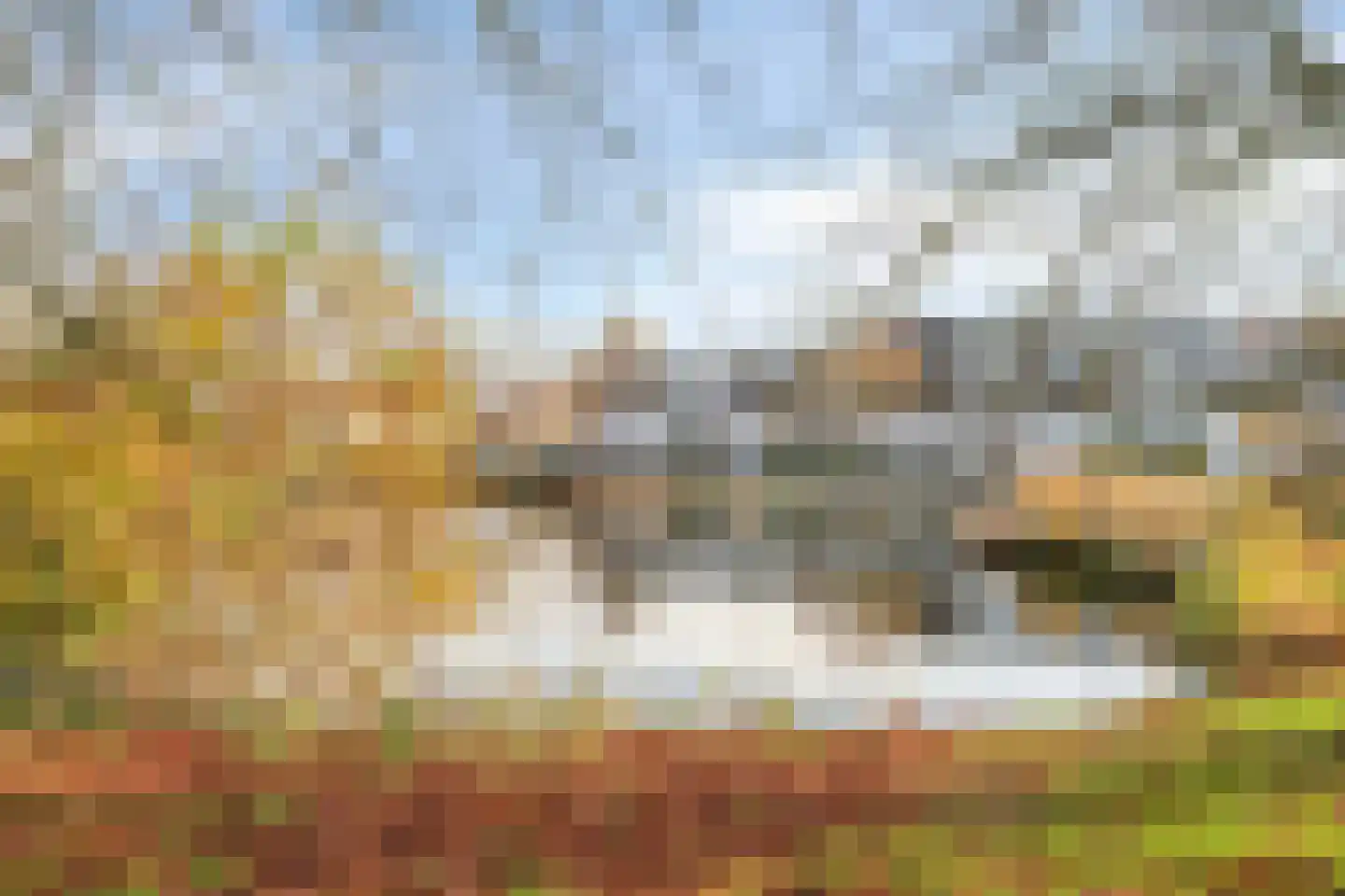 De Sonneveld 50 Heiloo thumbnail 26