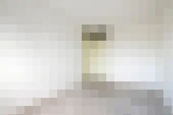 De Sonneveld 54 Heiloo thumbnail 17