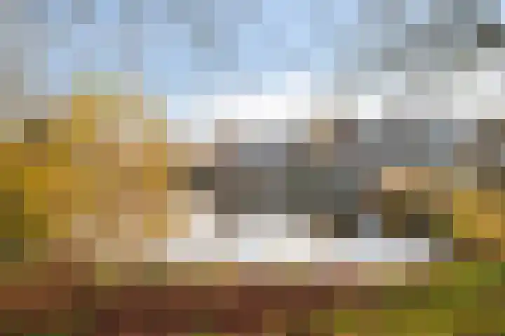 De Sonneveld 54 Heiloo thumbnail 25