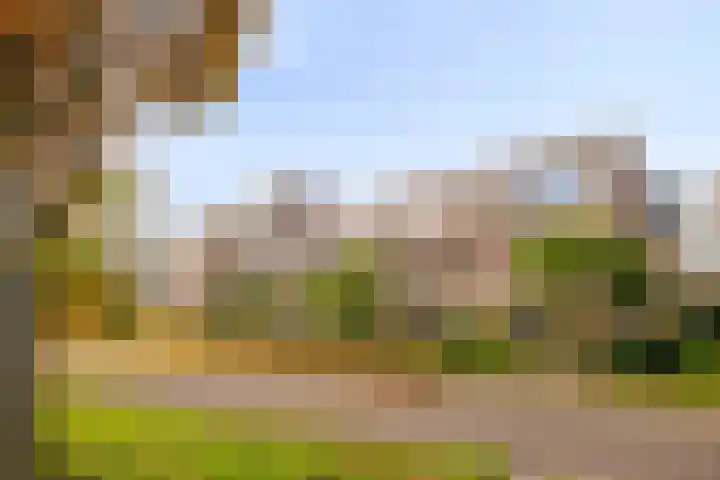 De Sonneveld 54 Heiloo thumbnail 27