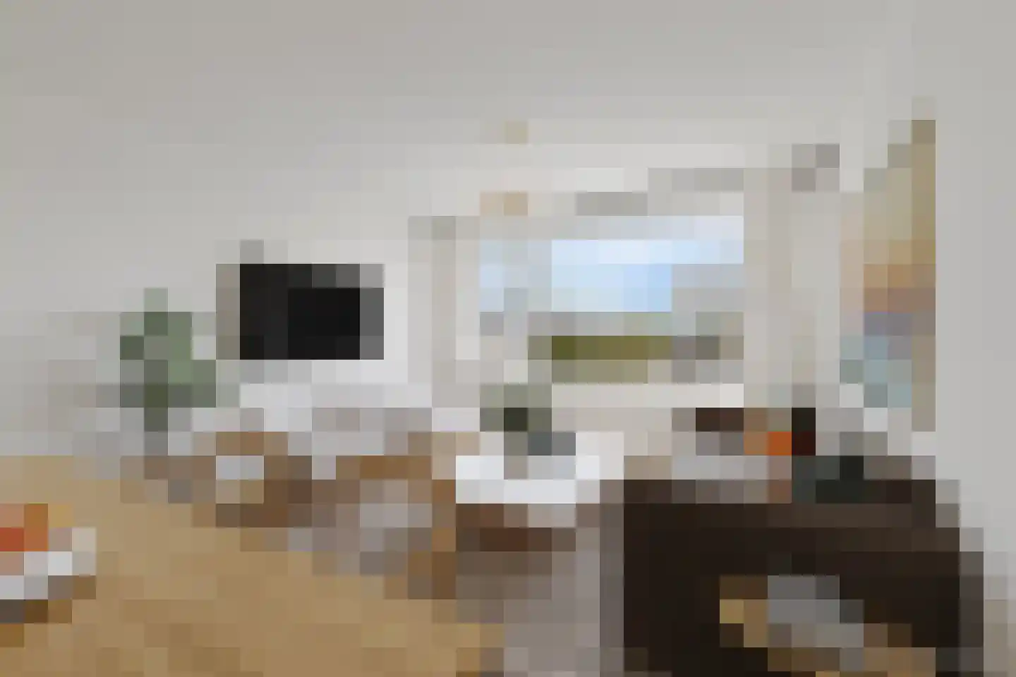 De Sonneveld 90 Heiloo thumbnail 5
