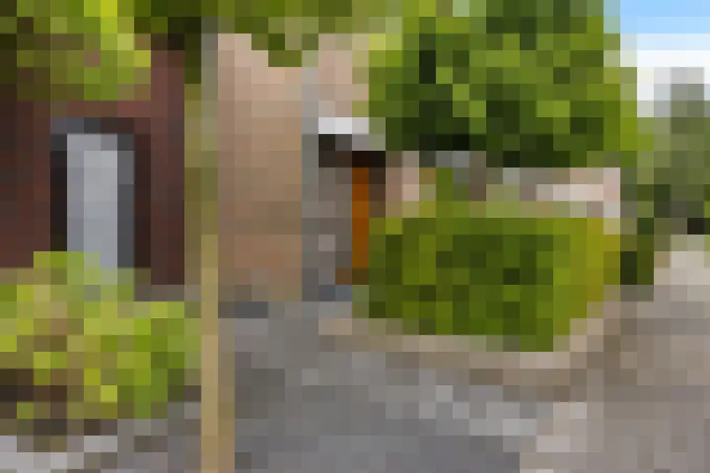 de Sont 26 Emmeloord thumbnail 11